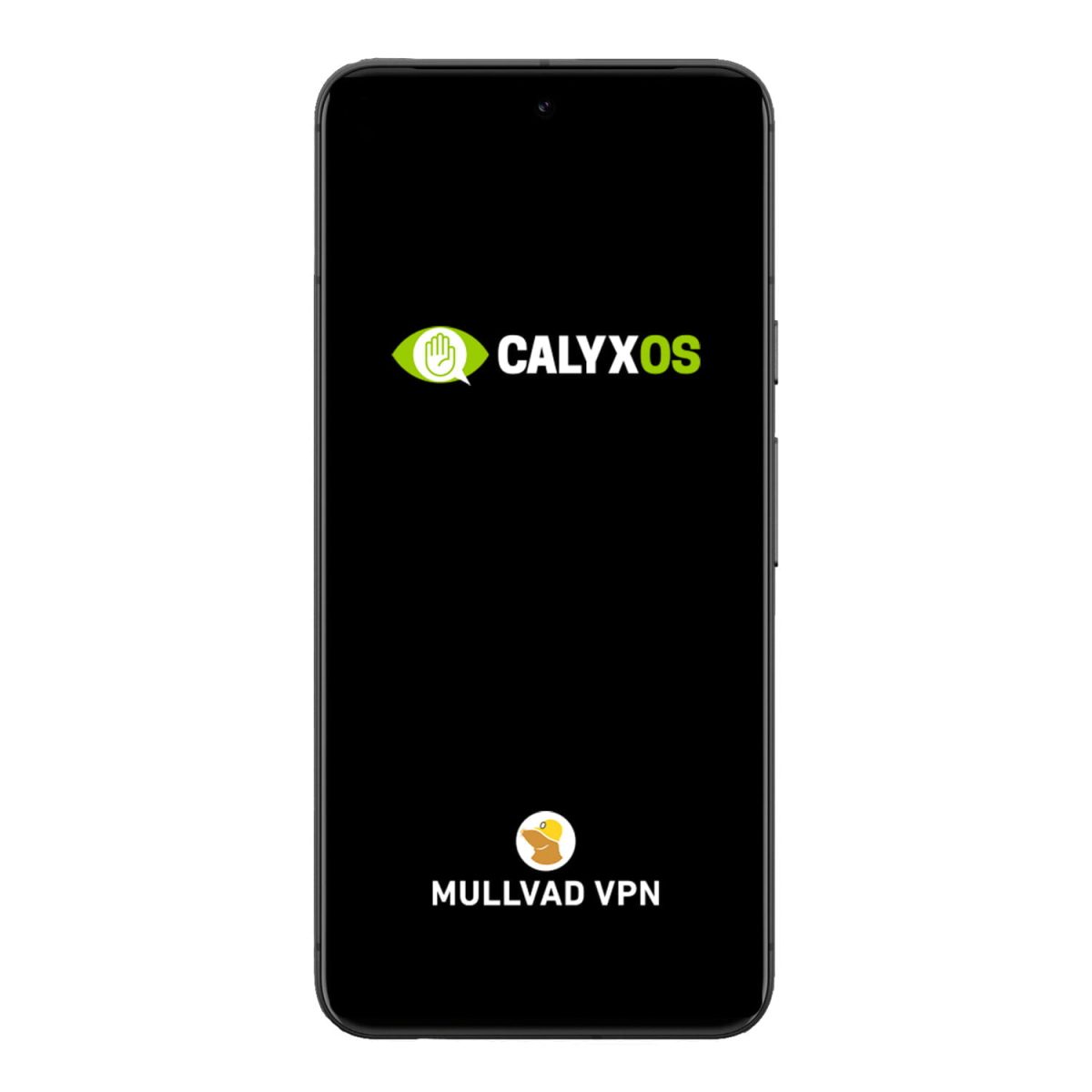 Google Pixel 8 CalyxOS VPN criptat frontal