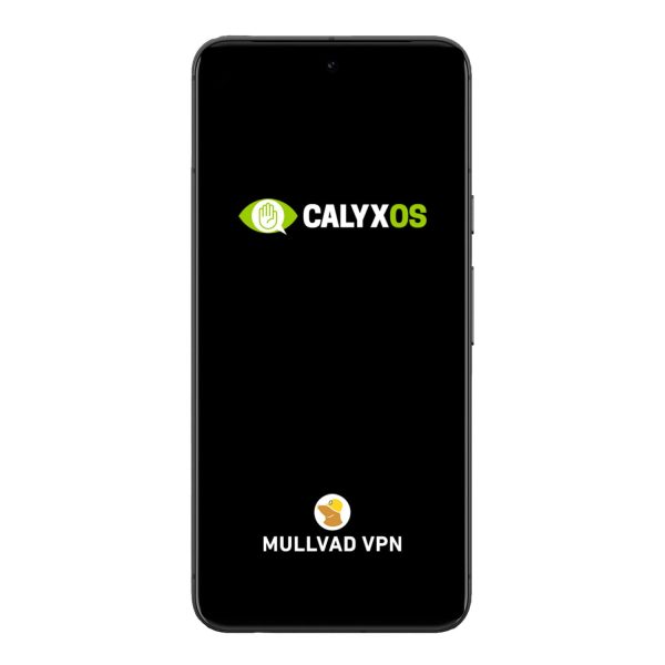 Google Pixel 8 CalyxOS VPN 加密前端