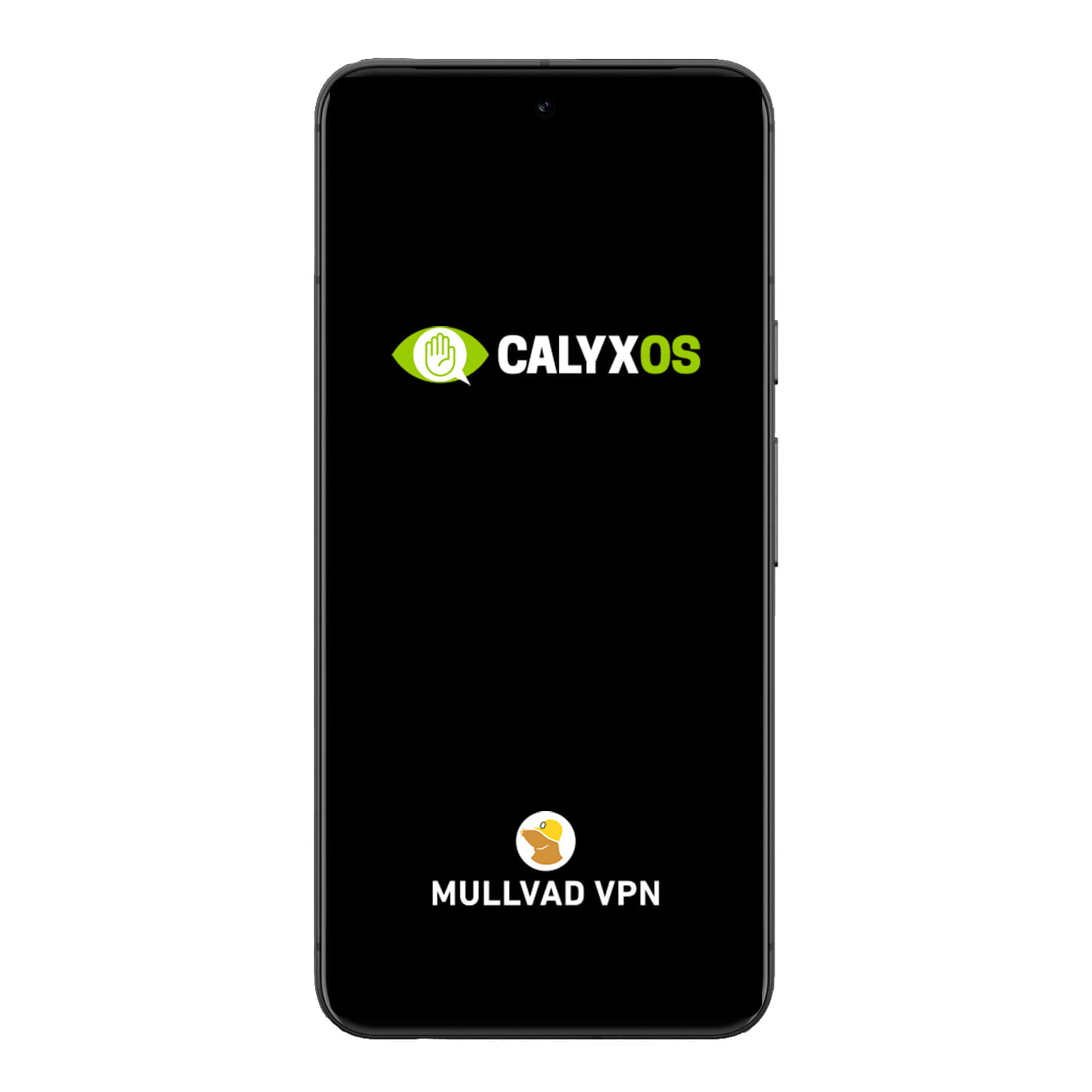 Google Pixel 8 CalyxOS VPN Encrypted front