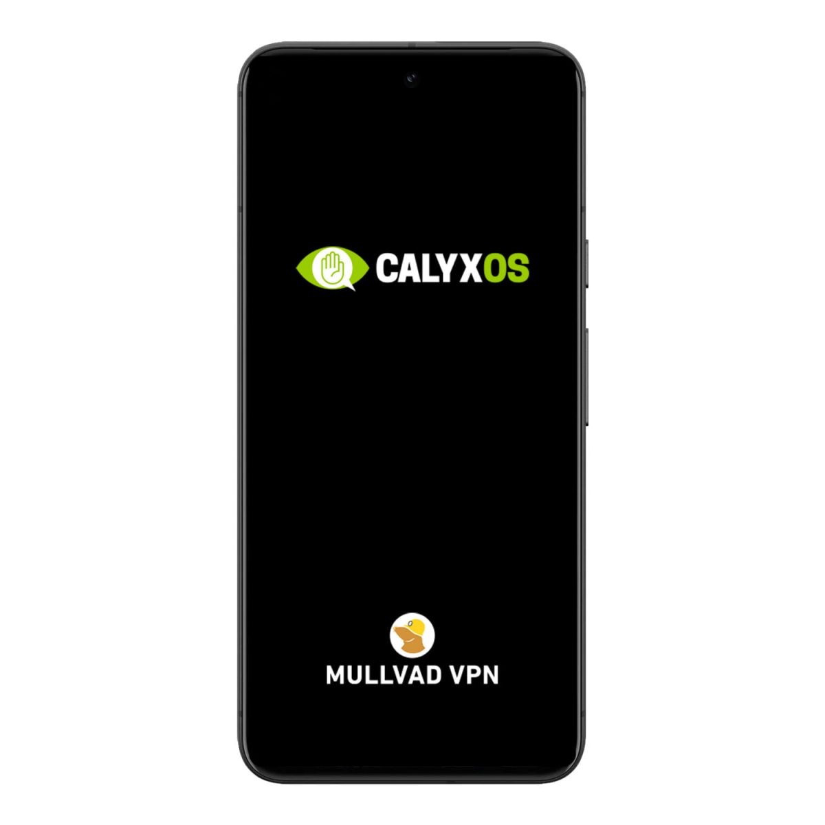 Google Pixel 8 Pro CalyxOS VPN szyfrowany