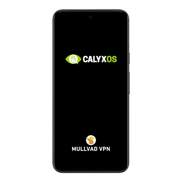 Google Pixel 8 Pro CalyxOS VPN Encrypted