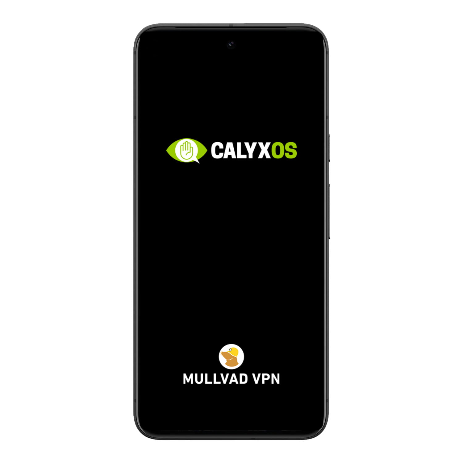 Google Pixel 8 Pro CalyxOS VPN Krypterad